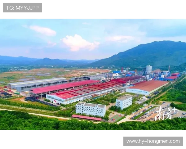 阳江企业家创新引领发展潮流 打造地方经济新动能